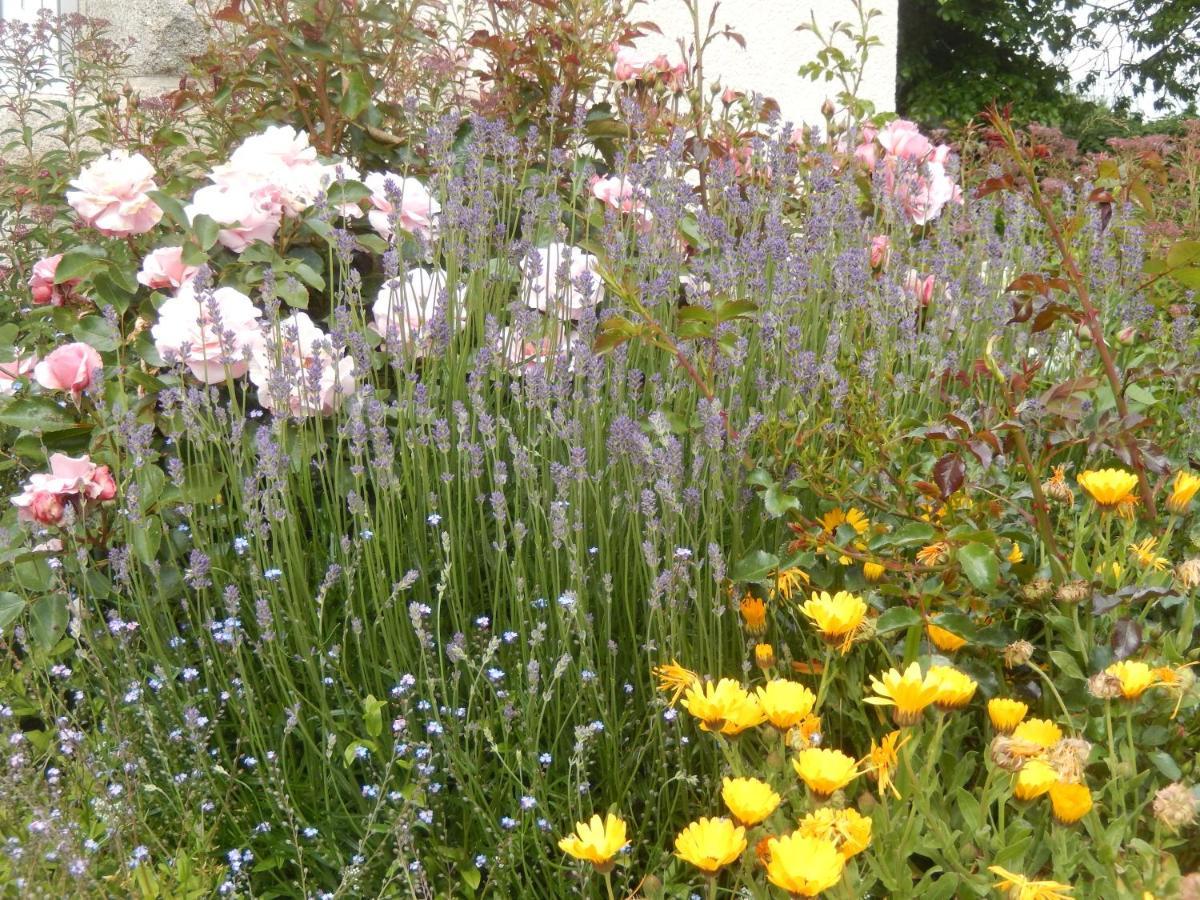 Le Tregonnec, Pres De Morlaix, Roscoff Bed & Breakfast Plouvorn Exterior photo